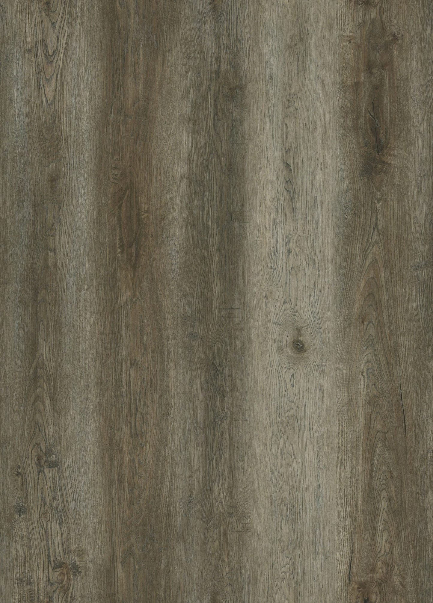 AMERICA RED OAK – P0020