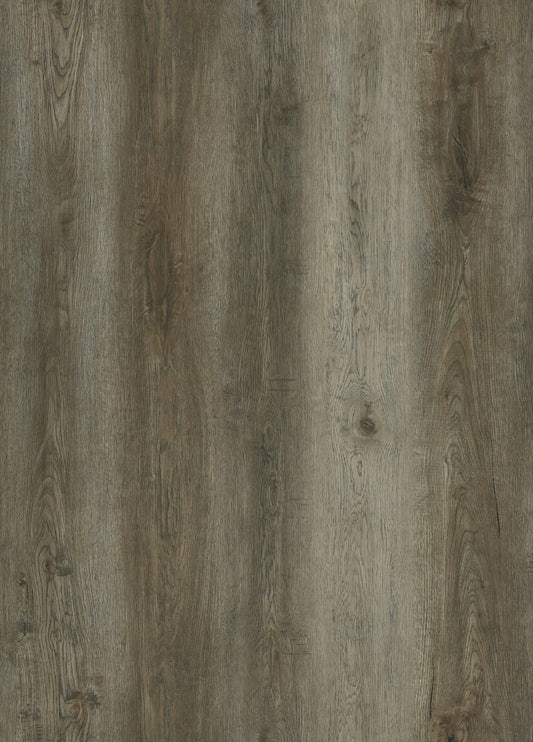 AMERICA RED OAK – P0020