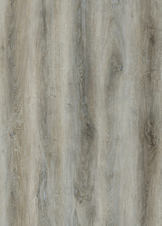 COASTAL RED OAK – P0001