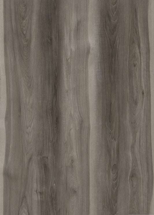 LACQUERED OAK – P0136